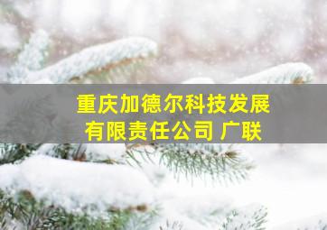 重庆加德尔科技发展有限责任公司 广联